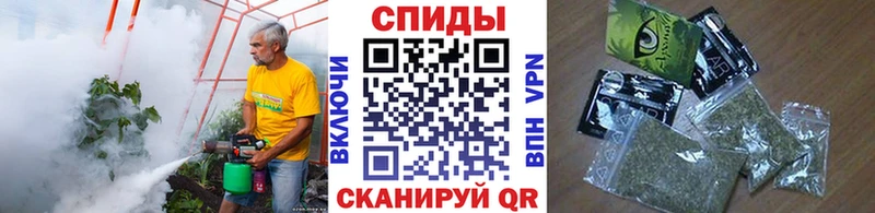 Бутират буратино  Купить где  Троицк 