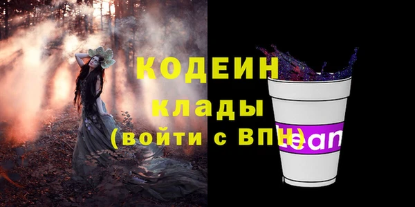 молекула духа Арсеньев