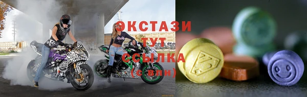 молекула духа Арсеньев