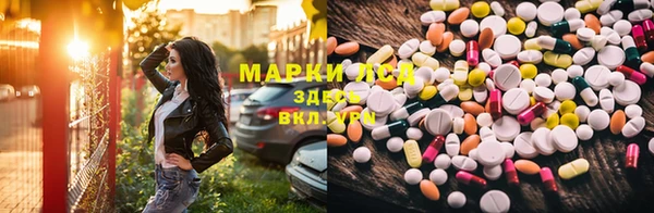 гидра Алексеевка