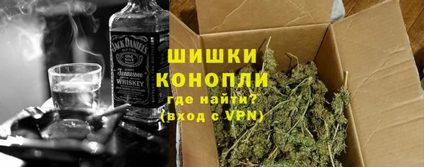 молекула духа Арсеньев